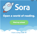 Sora Digital Library access